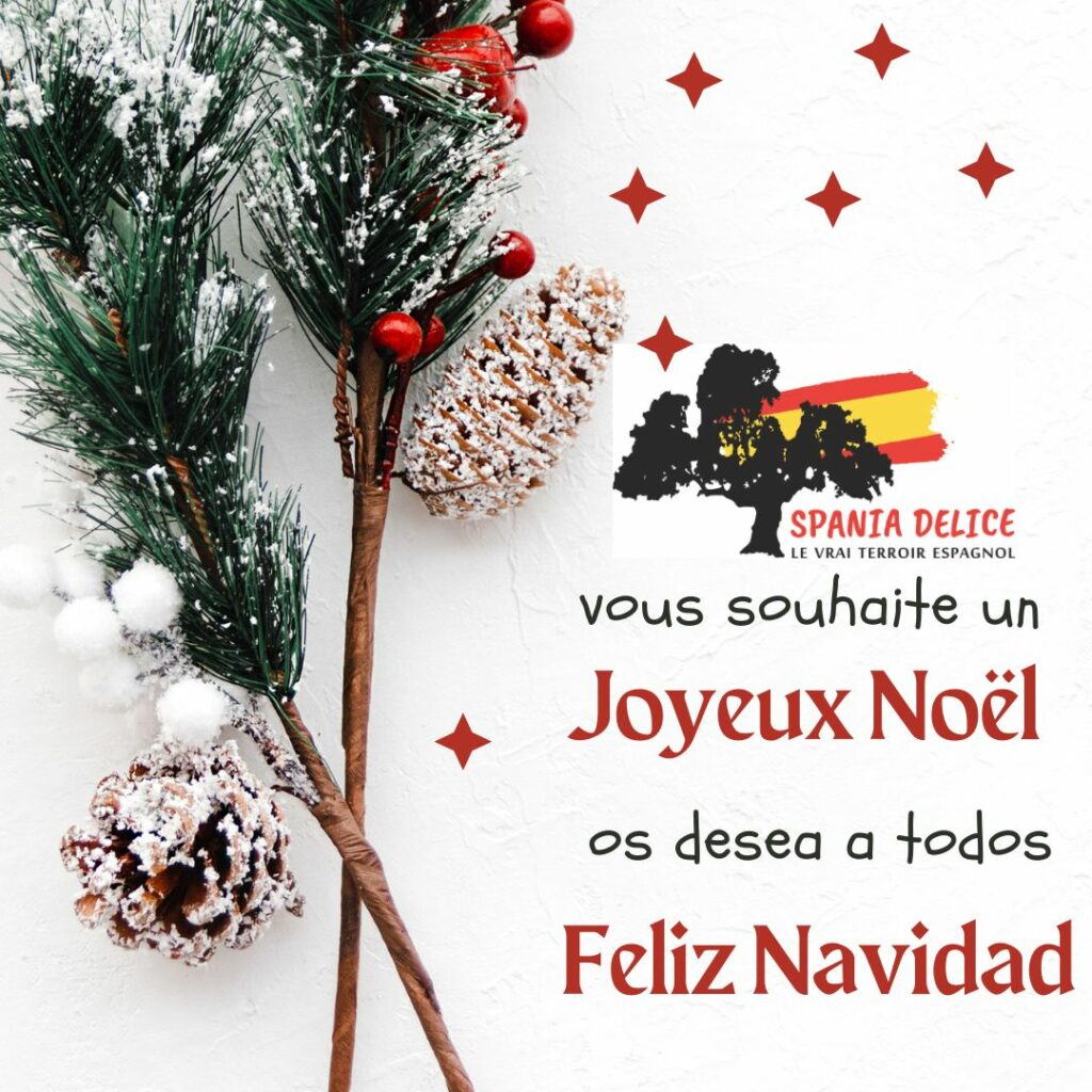 Joyeux Noël Feliz Navidad